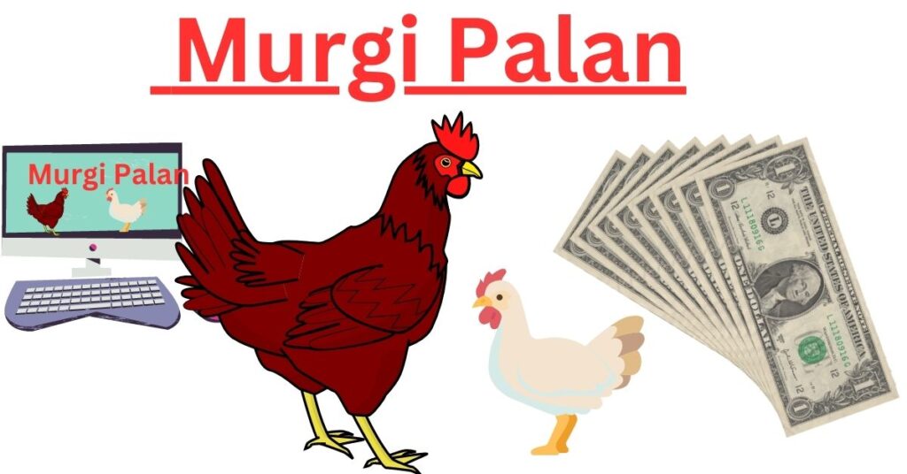 Murgi Palan Hetu Loan Kaise Le