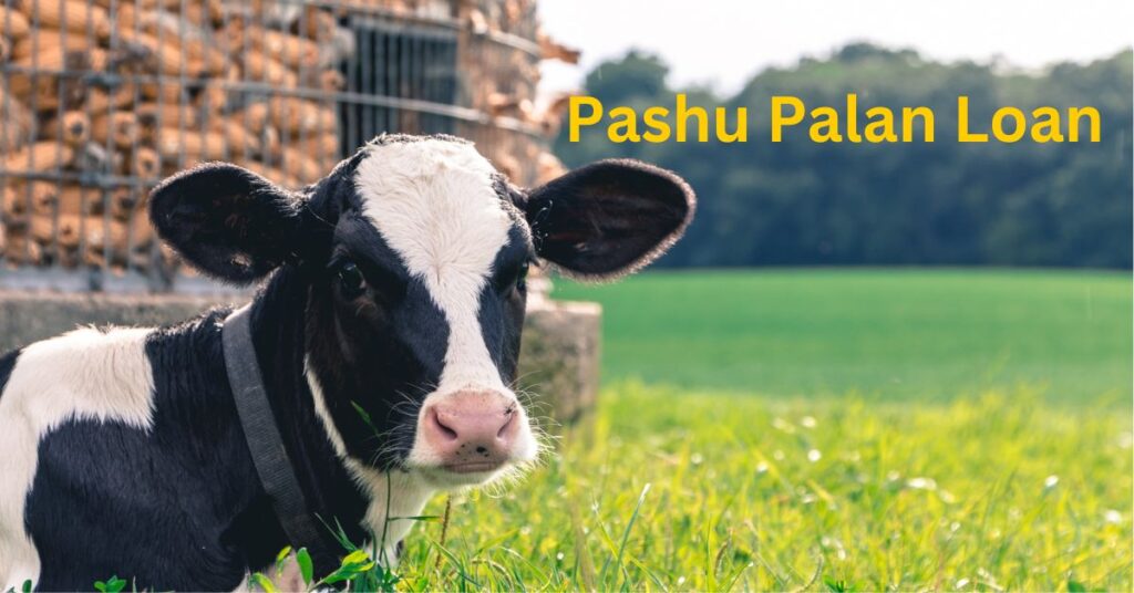 Pashu Palan Loan Kaise Le |